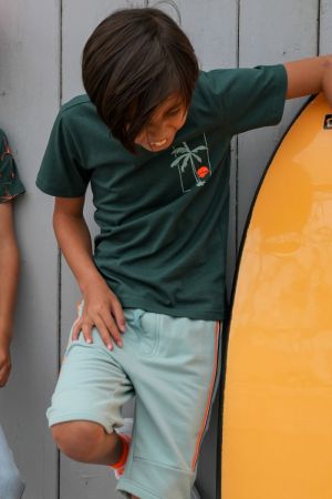 X502-6430 Storm Green 355
