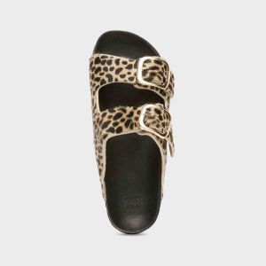 F30067 Leopard 1850