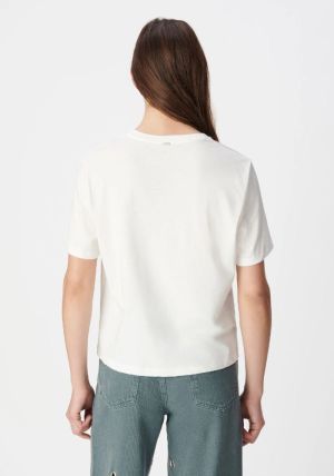 B31034519 Blanc Cassé