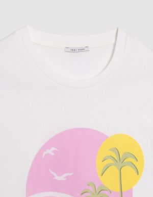 B31034519 Blanc Cassé