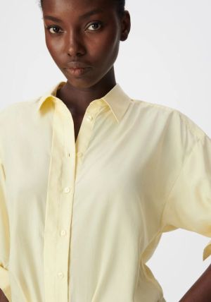 B31216570 Lemon