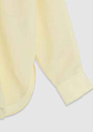 B31216570 Lemon