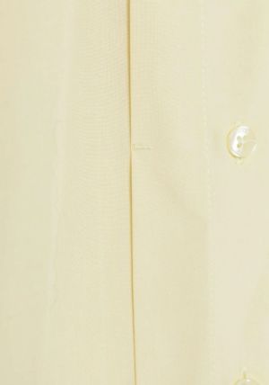 B31216570 Lemon