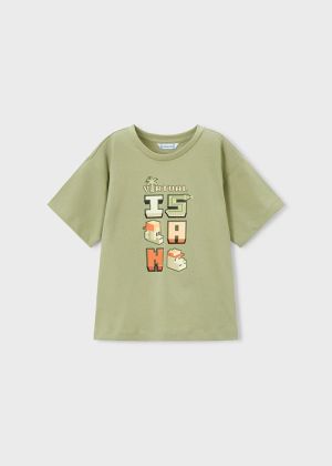 3078 Bamboo 73