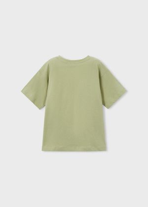 3078 Bamboo 73