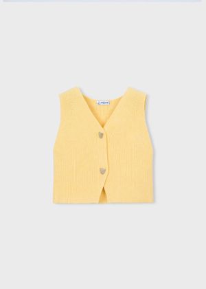 3385 Vanilla 84