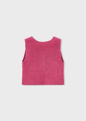 3385 Petal 85