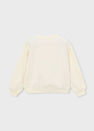 3448 Chickpea 94