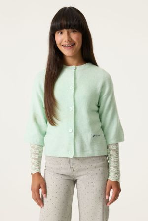 N262656 Magic Mint 6702