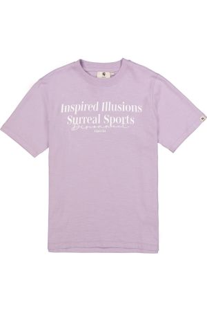 N263605 Misty Lilac 673