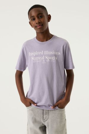 N263605 Misty Lilac 673