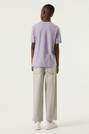 N263605 Misty Lilac 673