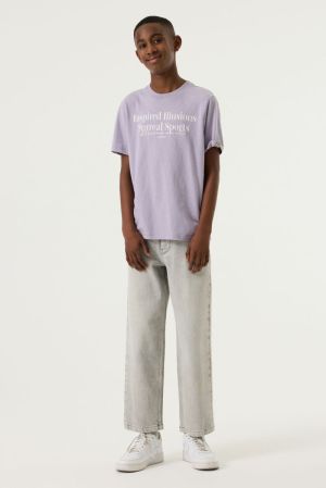 N263605 Misty Lilac 673