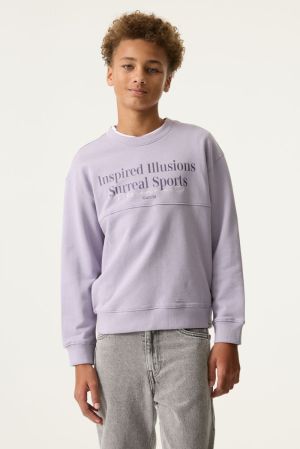 N263660 Misty Lilac 673
