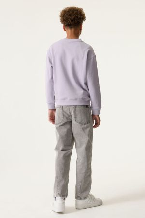 N263660 Misty Lilac 673