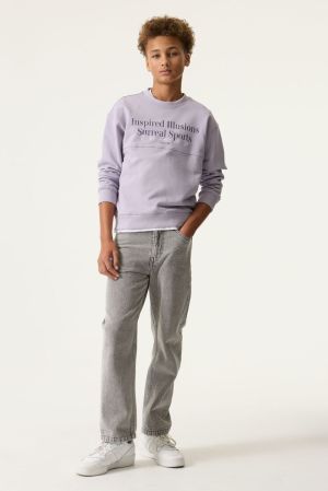 N263660 Misty Lilac 673