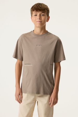 N263607 Taupe Grey 5068