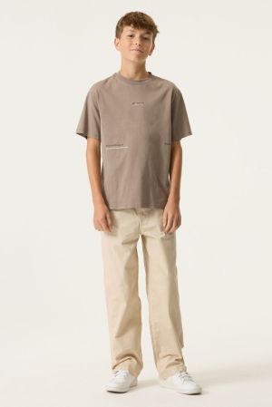 N263607 Taupe Grey 5068