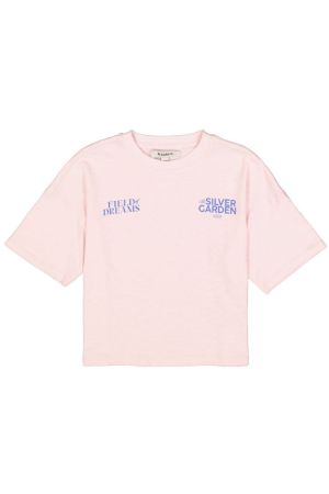 N262602 Chalk Pink 3553