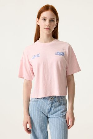 N262602 Chalk Pink 3553