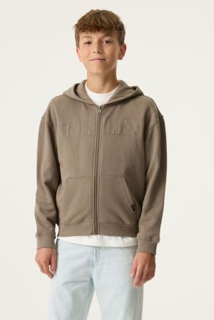 N263665 Taupe Grey 5068