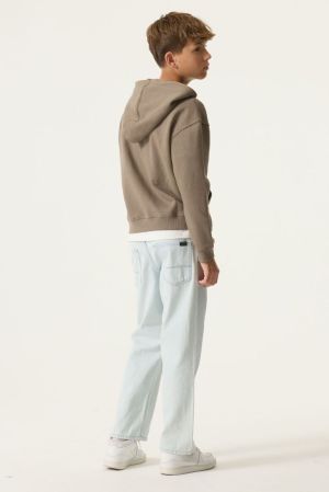 N263665 Taupe Grey 5068