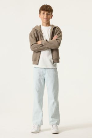 N263665 Taupe Grey 5068