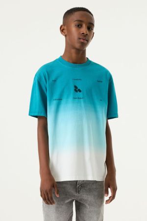 O263404 Teal Blue 6750