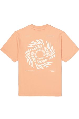 Q263402 5240-sunburn