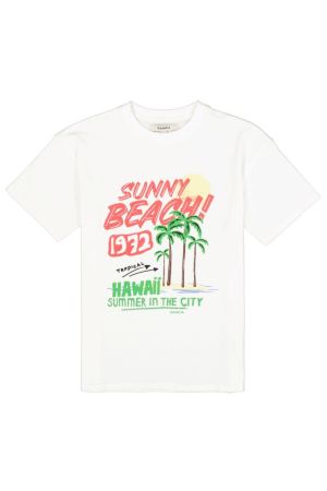Q262401 53-off white