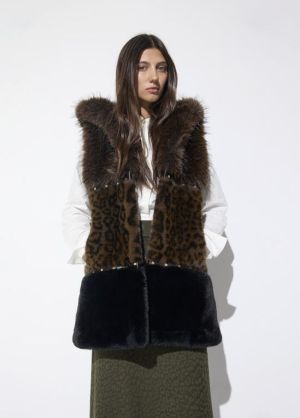 LF2601017.25Z Leopard
