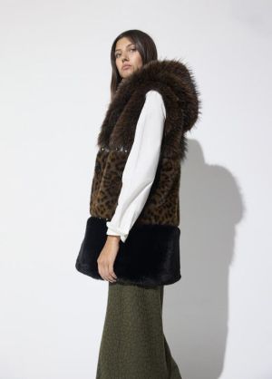 LF2601017.25Z Leopard