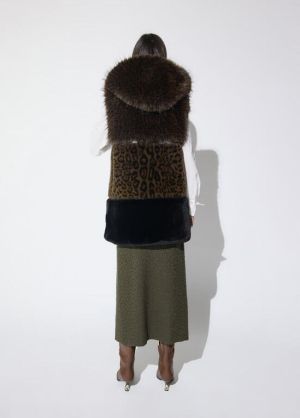 LF2601017.25Z Leopard