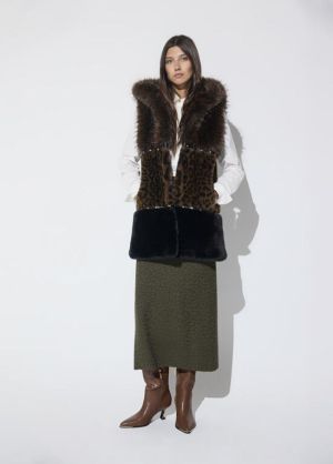 LF2601017.25Z Leopard