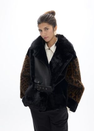 LF2601020.2NZ Leopard