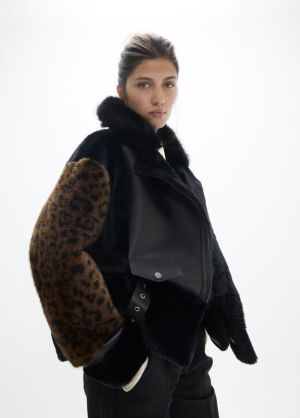LF2601020.2NZ Leopard