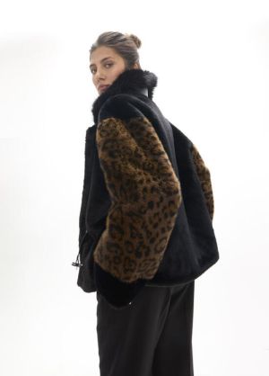 LF2601020.2NZ Leopard
