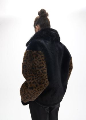 LF2601020.2NZ Leopard