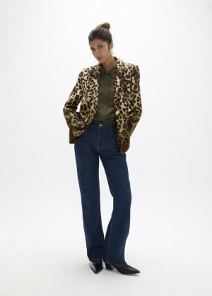 LF2602020.25Z Leopard