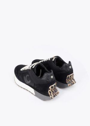 LF2605014.2NN Noir