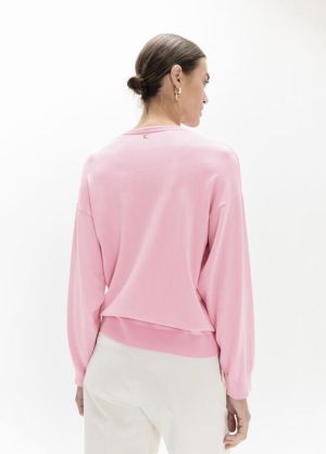 LF2611026.024 Rose