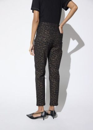 LF2614003.057 Leopard