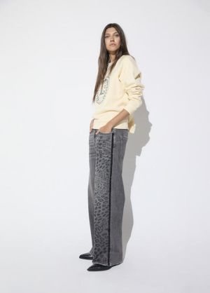 LF2614017.011 Leopard