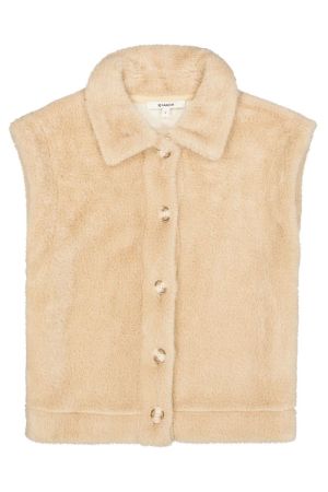 T260293 Winter Camel 49