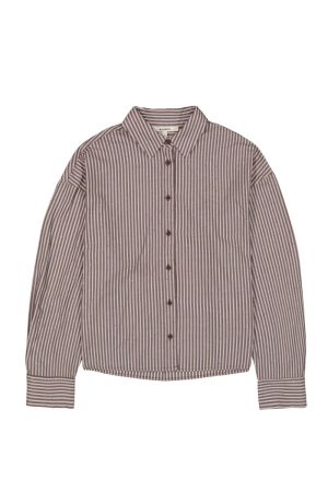 T260232 Hazel Bloom 447