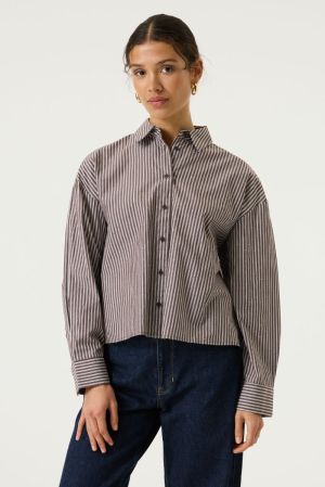 T260232 Hazel Bloom 447