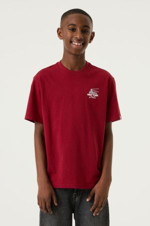 T263600 4252