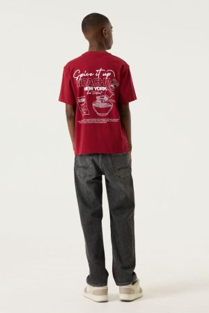 T263600 4252