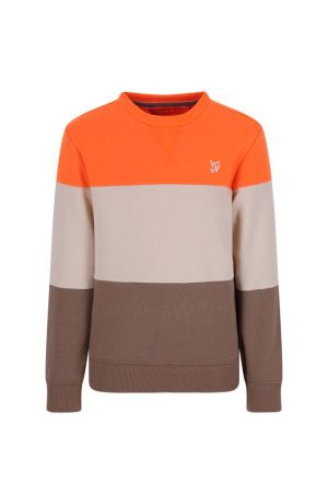 X608-6314 Orange Clownfis