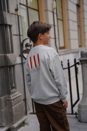 F608-6302 720 GREY MELEE